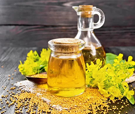Cold-Pressed Mustard Oil( Premium)